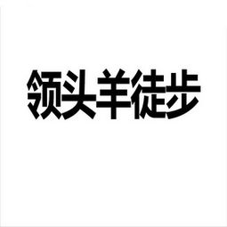 北京中視華語時(shí)訊影視策劃中心 專業(yè)影視策劃的引領(lǐng)者